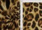 1 Yard Brown Animal Print DTY 96% Polyester, 4% Spandex Brushed Knit Fabric Soft Lightweight Stretch Polyester Spandex 58/60 Inch Wide